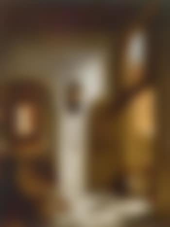 The little parrot (preview)