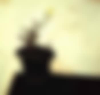 Flowerpot (preview)