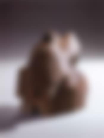 Taichi series (preview)