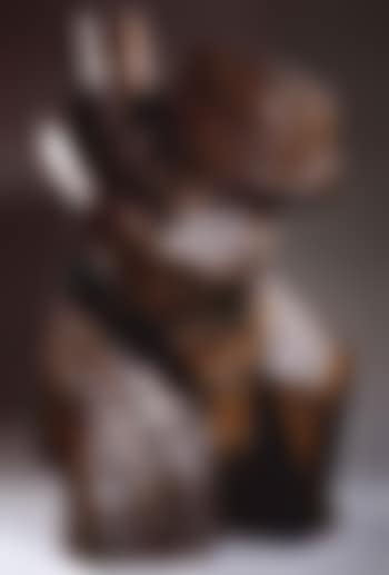 Taichi series (preview)