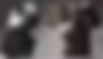 Taichi series (preview)