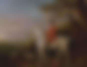 Huntsman on a grey horse with hounds in a landscape (preview)