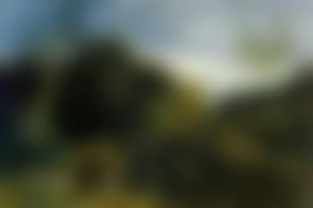 Stream (preview)