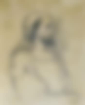 Portrait of a bearded gentleman (preview)