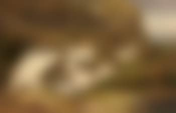 Goats in a rocky landscape (preview)
