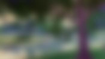 A sunny parc. A Swiss mountain landscape (preview)