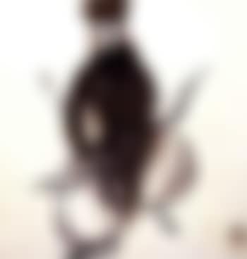 Opera figure with bow and arrow (preview)