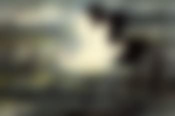 Egret flexing its wings (preview)