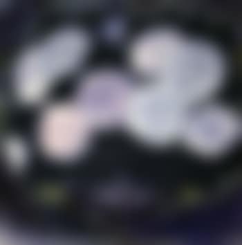 Hydrangea (preview)