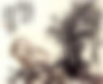 Plum flowers and rocks (preview)