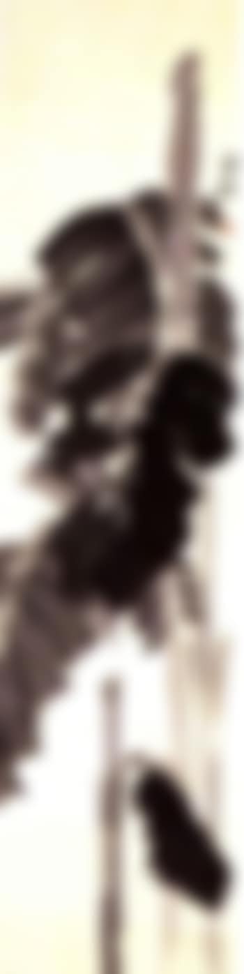 Plantain (preview)