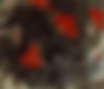 Red lotus (preview)