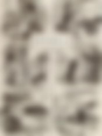 People (preview)
