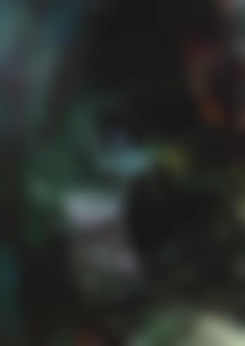 G.O.T (preview)