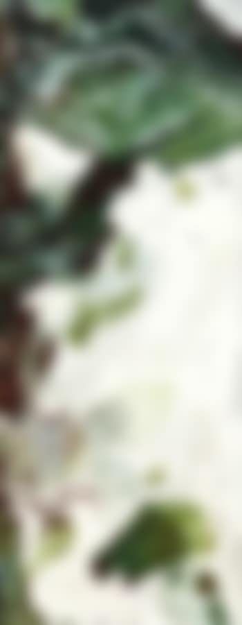 Tree (preview)