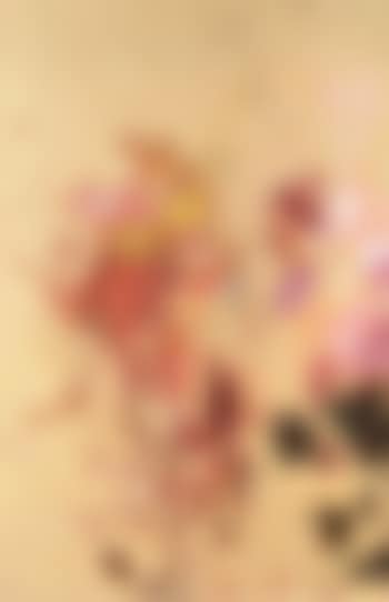 The hateful Lanzelotte (preview)