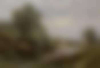Bend of the Avon near Salisbury (preview)