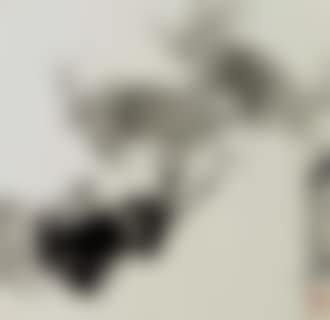 Crabs (preview)