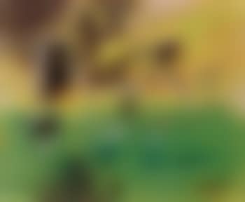 Signs of time (preview)