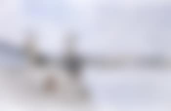 View of the tower (preview)