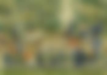 Central Park (preview)
