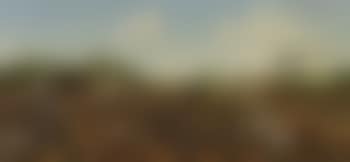 Workers in a cotton field (preview)