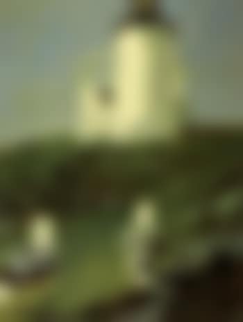 Sea birds (preview)