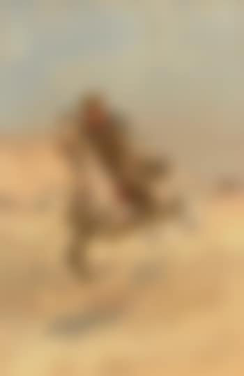 The pursuit (preview)