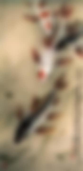 Carps (preview)