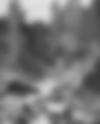 Stream (preview)