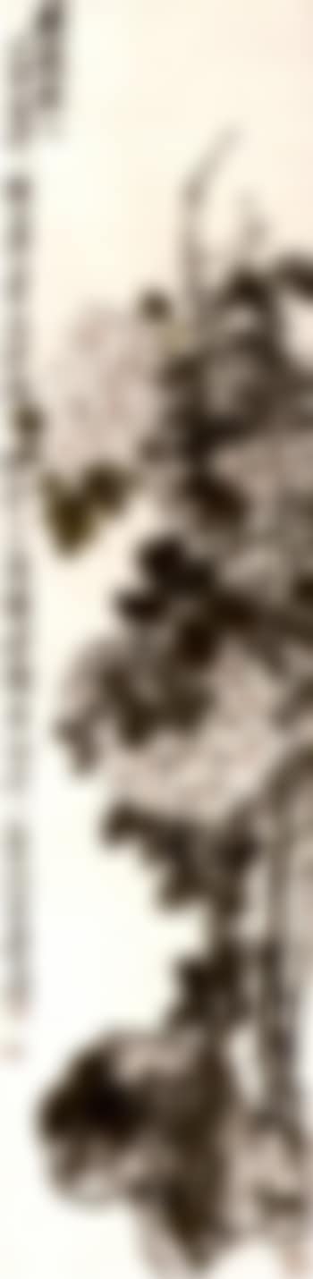 Hydrangea (preview)