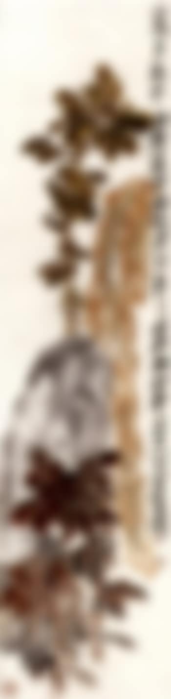 Amaranth (preview)