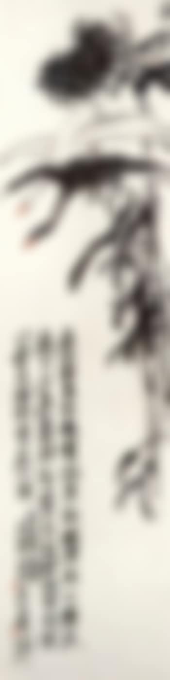 Egrets (preview)