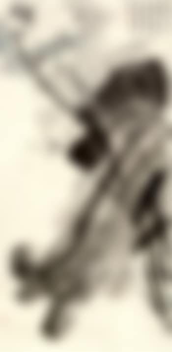 White water lily (preview)