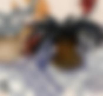 Still life (preview)