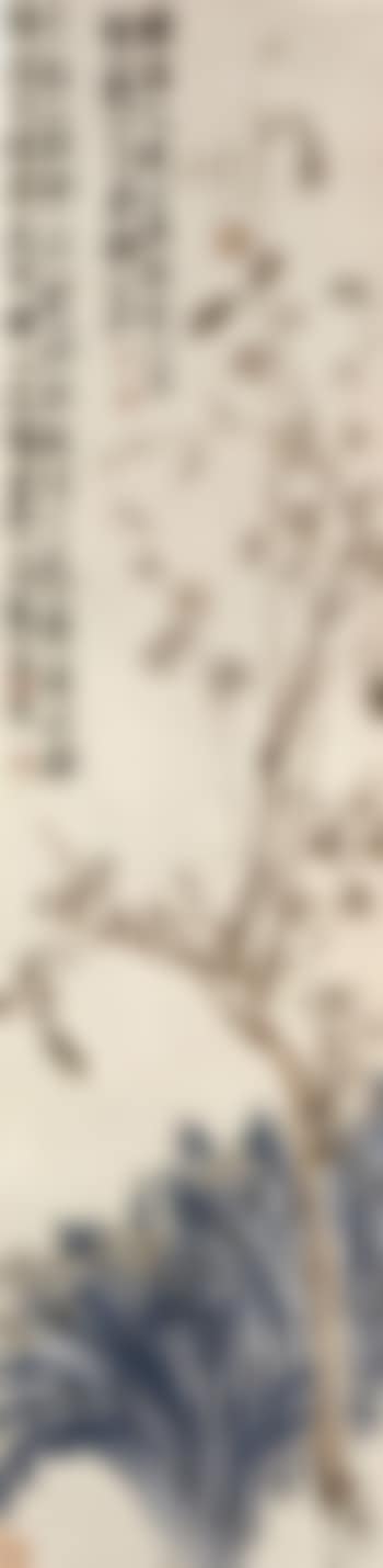 Narcissus (preview)
