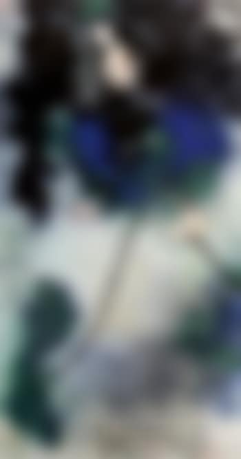 Lotus after rain (preview)