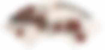 Prunus (preview)