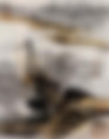 Landscapes (preview)