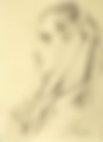 Profil de femme voilee (preview)