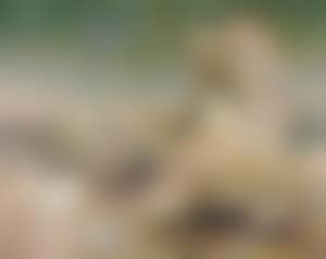 Turbulent cold front from 7000 degrees altitude (preview)