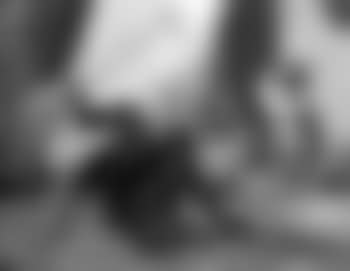 Le singe savant (preview)