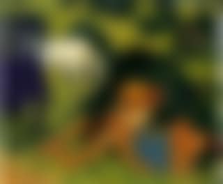 La sieste dans les champs (preview)
