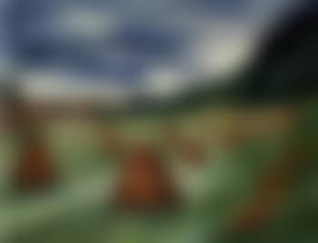 Haystacks in meadow (preview)