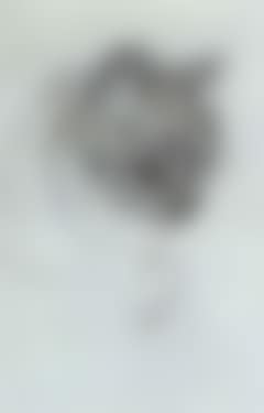 Cat (preview)