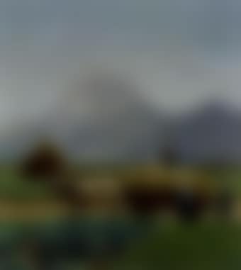 Hay harvest (preview)