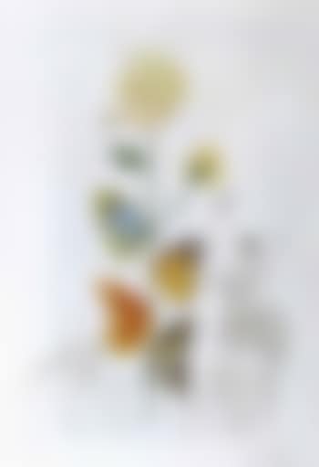 Rose (preview)