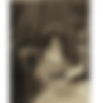 Portrait of a young woman (preview)