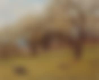 Cherry orchard (preview)