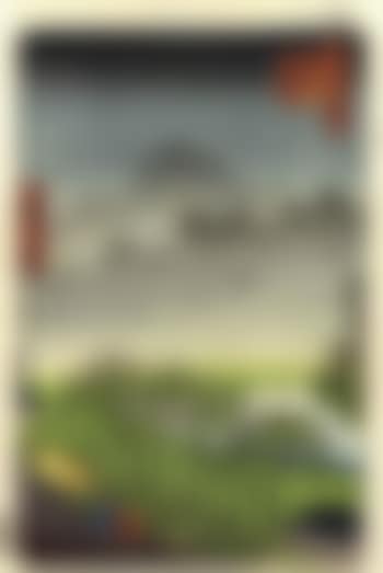Evening view of the Paulownia Plantation under rain (preview)
